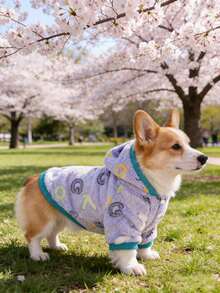 紫色珊瑚绒宠物卫衣，秋冬季中小型犬保暖加厚服装 - 淡紫色 - 查看 4