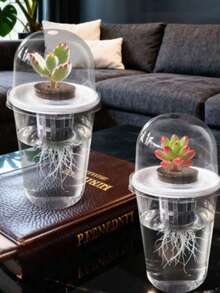 5pcs/Set Hydroponic Planting Pots - Transparent Cylindrical Hydroponic Planting Set, High Transparency Closed Hydroponic Cup, Transparent Design For Easy Root Growth Observation, Ventilation Hole Design - Multicolor - View 10