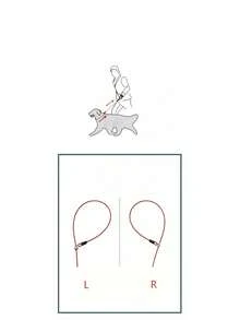 1pc Steel Wire Dog Leash & Collar Combo, Suitable For Large And Small Dogs, Wholesale - Yellow - View 6