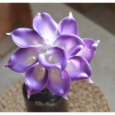 Rare Purple And White Horseshoe Lotus 30 S