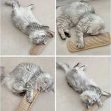 1pc Cat Toy Pillow, Bite-Resistant, Self-Entertainment, Cat Scratch Pad, Cat Toy, Cat Toy Pillow, Sisal Cat Scratch Board Pad, Scratch & Bite Resistant, Cat Filled, Cat Toy Scratching Post, Suitable For 4 Seasons, Alternative To Teaser Wand, Self-Entertainment Cat Bed Mat, Suitable As Gift For 9 Holidays. Cat Self-Entertainment, Multi-Functional Cat Bed, Pet Accessory, Non-Shedding Fabric, Long-Lasting Design, Self-Play Pillow, Cat Owner, Multi-Pet Household - Multicolor - View 5