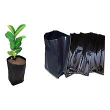 TendenciaBolsas Plástico Cultivo Producción Plantas 1 Kg 18  X 25 CmCalidad premium - 1 - Ver 2