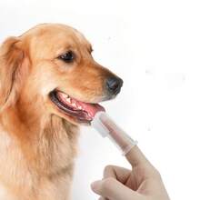 1pc Dog & Cat Finger Toothbrush, Dog Finger Toothbrush, Pet Teeth Cleaning Finger Brush - White - View 9