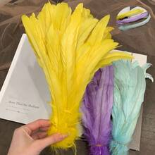 20pcs 25-45cm Wholesale Artificial Rooster Feathers For Headpiece, Wedding Dress DIY, Home Decor Accessories - Multicolor - View 2