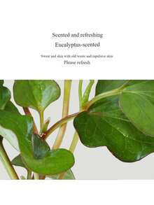 Anua 150毫升/5.07液体盎司温和洁面泡沫，蕴含常春藤叶提取物，深层清洁去角质，保湿舒缓，控油祛痘，韩国化妆品 - 150ml - 查看 8