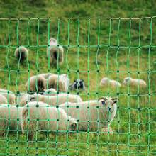 Electric Fence Netting, 42" H X 164' L, PE Net Fencing With Posts & Double-Spiked Stakes, Utility Portable Mesh For Goats, Sheep, Lambs, Deer, Hogs, Dogs, Used In Backyards, Farms, And Ranches - Green - View 2