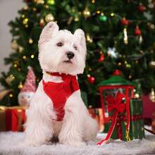 1 set Collar de perro con lazo, arnés para el pecho y correa - Rojo - Ver 6