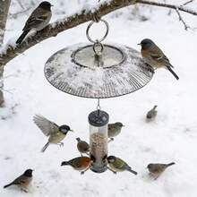 Robuster Kunststoff Vogelhaus Schutz - Eichhörnchen Abweiser, Kolibri Futterspender Schatten, leicht zu reinigende Eichhörnchen sichere Ummantelung, ideales Outdoor Vogelfutter Zubehör Geschenk für Vogelliebhaber - Einheitsgröße - Übersicht 5