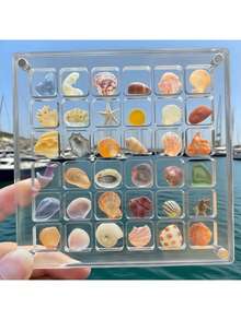 1 pieza Caja de almacenamiento de acrílico transparente de 36 ranuras, estuche de exhibición de especímenes de piedras de playa en miniatura, caja de colección de insectos, organizador de mujeres, esencial de viaje, almacenamiento para dormitorio universitario, caja de almacenamiento de conchas, caja de almacenamiento de arte, caja de exhibición de escritorio, caja de almacenamiento de joyas, organizador de almacenamiento de joyas - Multicolor - Ver 5