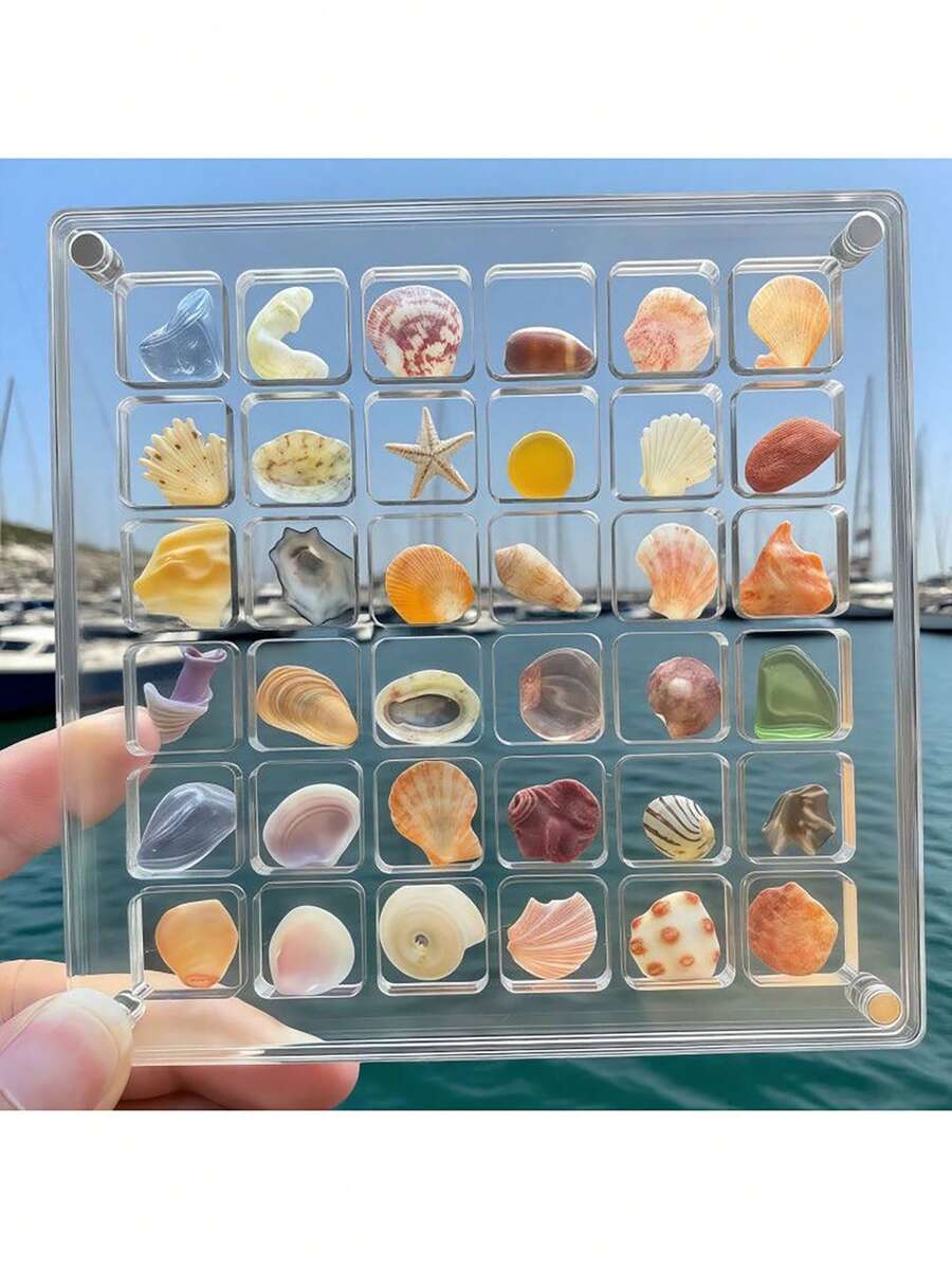 1pc 36-Slot Acrylic Transparent Shell Storage Box, Mini Stone Beach Specimen Display Case, Insect Collection Box, Women's Organizer Box, Travel Essential, Back To School Dorm Storage,Shell Storage Box, Art Storage Box, Desktop Display Box, Jewelry Storage Box,Jewelry Storage Oraganizer - Multicolor - View 1