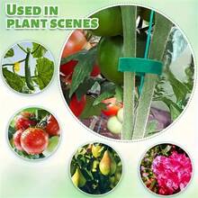 尼龙植物绑带、植物缠绕胶带、家用园艺植物造型魔术贴胶带、竹藤缠绕配件