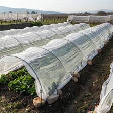 TendenciaTela Antiheladas Para Cultivos 15 X 2.1 Mts Ancho AgrotelaCalidad premium - 1 - Ver 8