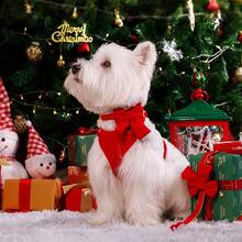 1 set Collar de perro con lazo, arnés para el pecho y correa - Rojo - Ver 5