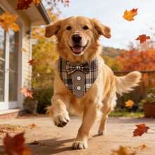 Brown Dog Tuxedo Style Scarf Plaid Pet Bow Tie Collar Adjustable Coffee Plaid Scarf, Suitable For Small, Medium And Large Dogs - Brown - View 8