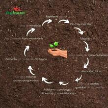 TendenciaLixiviado De Lombriz Abono Liquido Orgánico 100% 1 LitroCalidad premium - 1 - Ver 3