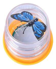 TendenciaKit De Observación De Insectos, Visor De Insectos, Caja De ICalidad premium - 02 - Ver 7