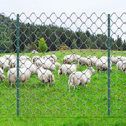 5 pies Post de cerca, 10 paquetes de U-canal pesado Postos de cerca de metal, Stakes de cerca de acero resistente para jardín, césped, granjas y cerca de alambre al aire libre, verde