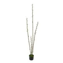 YUNRUX Artificial Plants - 綠色 - 查看 4