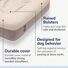 Casper DOGBD-MB-TP-US-JEF - Cama de espuma viscoelástica tamaño mediano arena - Arena - Ver 2