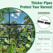 Pergolas - الأسود - مشاهدة 7