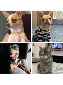 1件可调节宠物猫狗项圈项链，适合小型/中型/大型宠物，宠物配饰金色狗项圈猫幼犬链带水钻 - 金色 - 查看 5