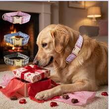 2026新款热销柔软舒适双层手工格纹锌合金宠物项圈，可调节套入式狗项圈，适合小型、中型和大型犬，宠物项圈/狗项圈/狗颈圈，锌合金材质，易于扣合解开，高端个性化宠物项圈，适合婚礼、情人节、生日等场合（由于面料差异，可能存在轻微批次和颜色差异，随机发货） - 彩色 - 查看 2