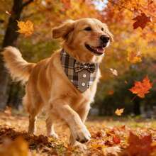 Brown Dog Tuxedo Style Scarf Plaid Pet Bow Tie Collar Adjustable Coffee Plaid Scarf, Suitable For Small, Medium And Large Dogs - Brown - View 11