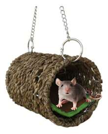 Latex Pillows - 1 - View 8