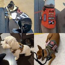 2 PCS  Patches With Removable Tactical Hook Loop Embroidered In Training Patch Do Not Pet WorFKing Dog Patch For Vest Harnesses Collars Leashes,DoNotPet2PCS - DoNotPet2PCS - View 6