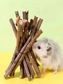 100g/200g/300g Apple Wood Pet Chew Sticks - Designed For Rabbits, Guinea Pigs And Hamsters, Natural Wooden Chew Toys, Coarse Wood Chew Treats To Promote Animal Oral Health - Multicolor - View 6