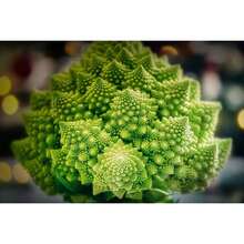 Tendencia200 Semillas Brocoli Romanesco Variedad Heirloom AutenticasCalidad premium - 1 - Ver 8