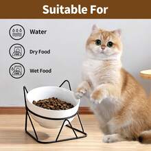 室内猫用陶瓷增高食碗，15°倾斜金属支架防呕吐保护脊椎，减少猫咪胡须疲劳，防滑且可机洗 - 400-800ml - 查看 10