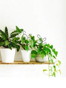 1Pc Plant Climbing Rack, Outdoor Potted Plant Support, Creative Flower Support, Vine Trellis, Plant Flower Holder - Multicolor - View 3