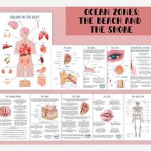 学生解剖学练习册 - 人体结构指南，肌肉、器官和骨骼学习笔记本（含插图） - 包含人体器官解剖图系列，尺寸 5.5 英寸 x 8.3 英寸，厚封面，适用于学习、医学教育、解剖学研究，小巧便携，价格实惠且坚固耐用，优质纸张，学习指南，人体器官图，医学生和医疗保健专业人员必备