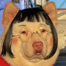 1件装夹式猫咪假发 - 柔软的聚酯纤维宠物配饰，易于使用且舒适，是打造时尚猫咪造型、参加派对和拍照娱乐的完美之选，派对必备单品，趣味十足的设计，专为角色扮演爱好者打造。 - 黑色 - 查看 3