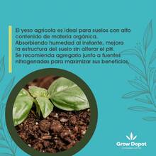 Yeso Agrícola  (Sulfato de Calcio) 5 Kg Calidad Premium - 1 - Ver 7