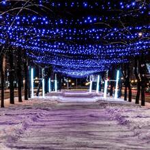 1 Pc 7.5M LED Outdoor Waterproof Solar Powered Fairy String Lights, Camping Lights, Outdoor Decoration Lights For House, Lawn, Trees, Street, Railing, Festivals, Indoor (Blue, Warm White) - Bare Light String Lights - View 1