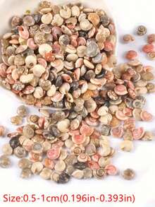 100个天然无孔迷你螺旋贝壳，天然航海沙滩装饰品，适用于DIY工艺品和家居装饰