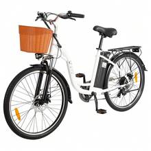 Electric Bicycles