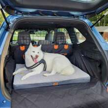 Heavy-Duty Non-Slip Car Dog Seat & Trunk Mat - Durable Kennel Pad Suitable For Cars, SUVs, Trucks - Back Seat & Cargo Area For Dogs During Travel - đen - Xem 10