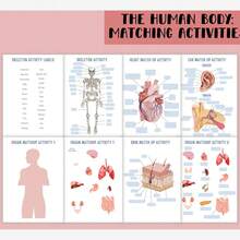 学生解剖学练习册 - 人体结构指南，肌肉、器官和骨骼学习笔记本（含插图） - 包含人体器官解剖图系列，尺寸 5.5 英寸 x 8.3 英寸，厚封面，适用于学习、医学教育、解剖学研究，小巧便携，价格实惠且坚固耐用，优质纸张，学习指南，人体器官图，医学生和医疗保健专业人员必备