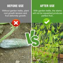 Pergolas - الأسود - مشاهدة 10