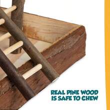 Wooden Bird Playground - Standard - View 6