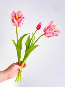 3支逼真郁金香，高品质，沙特阿拉伯热门产品，适用于酒店、办公室、家居装饰、婚礼花束、餐桌装饰、情人节、生日礼物、毕业典礼、返校季、房间装饰、学习用品等。