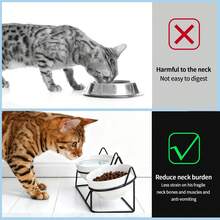 室内猫用陶瓷增高食碗，15°倾斜金属支架防呕吐保护脊椎，减少猫咪胡须疲劳，防滑且可机洗 - 400-800ml - 查看 5