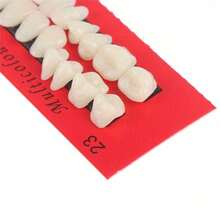 1/2/4 buah Perlengkapan Rias Gigi Resin, Cocok untuk Penggunaan Profesional dan Edukatif - Bahan Ajar Model Restorasi Gigi Realistis yang Tahan Lama, Gigi Tiruan Universal Tahan Aus dan Kekerasan Tinggi - MultiWarna - View 5
