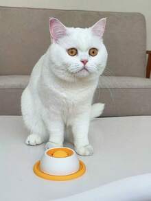 1个宠物舔食盘，湿粮零食酸奶舔食玩具，慢食喂食器清洁口腔，适用于猫狗 | 互动零食碗 - 多色 - 查看 6