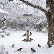 Robuster Kunststoff Vogelhaus Schutz - Eichhörnchen Abweiser, Kolibri Futterspender Schatten, leicht zu reinigende Eichhörnchen sichere Ummantelung, ideales Outdoor Vogelfutter Zubehör Geschenk für Vogelliebhaber - Einheitsgröße - Übersicht 13