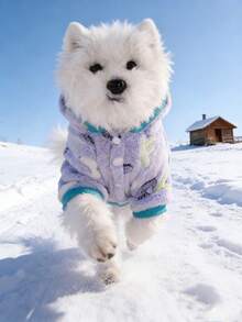 紫色珊瑚绒宠物卫衣，秋冬季中小型犬保暖加厚服装 - 淡紫色 - 查看 6