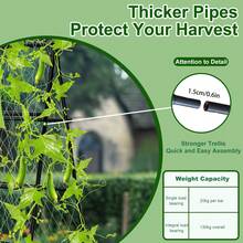 Pergolas - Noir - Voir 10